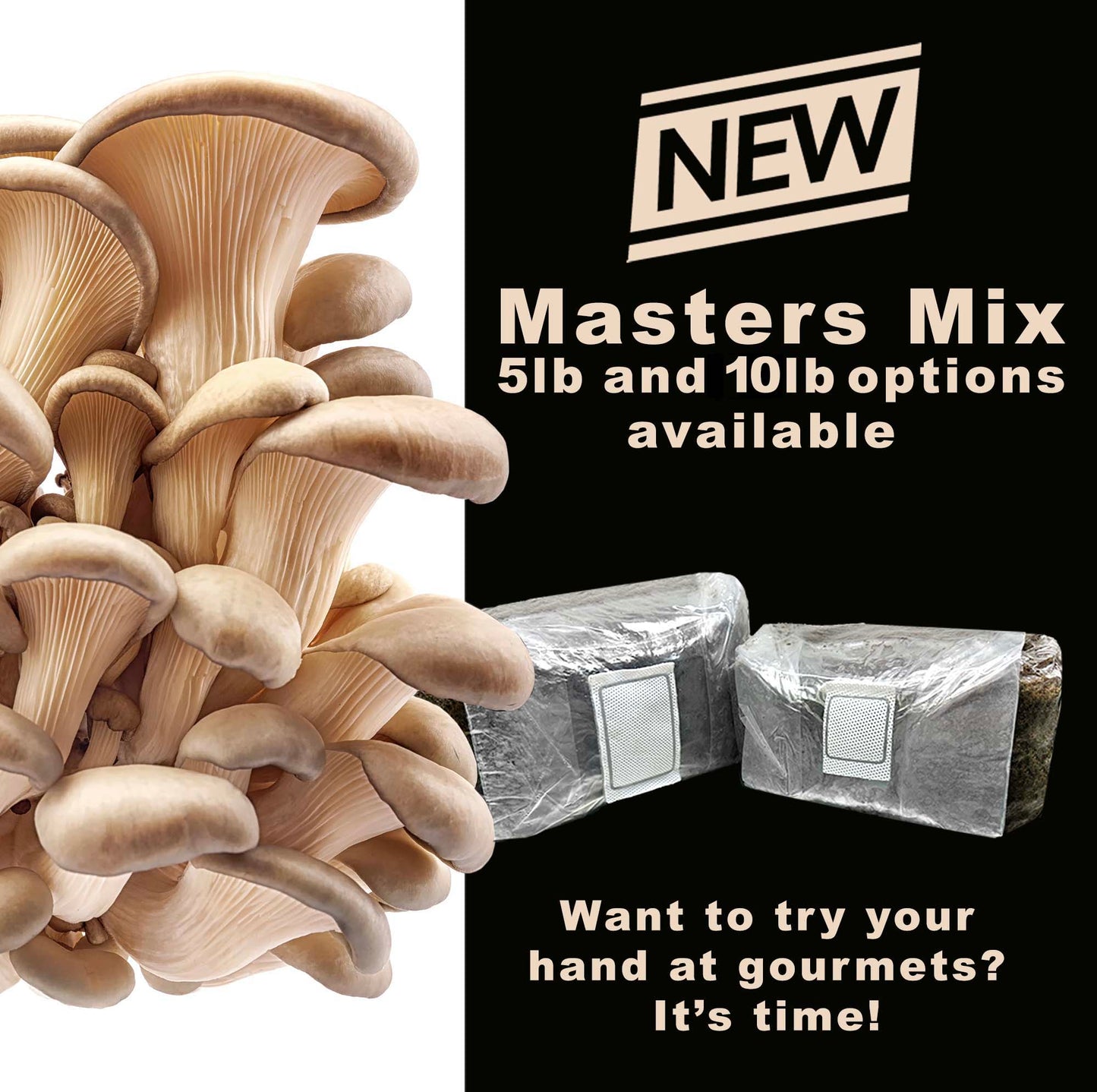 Masters Mix Substrate - Premium Blend for Gourmet Mushrooms 