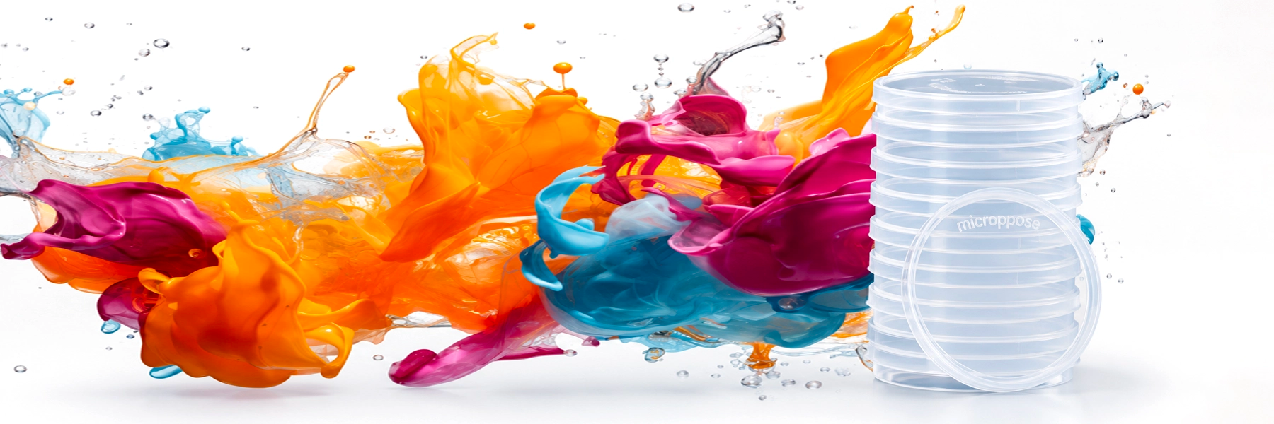 custom-slideshow-image-desktop-block_gNyCYN