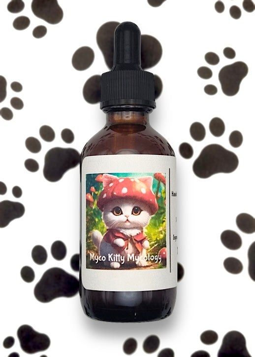 Reishi Mushroom- Tincture 