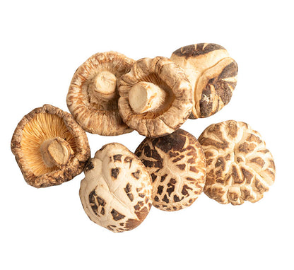 Shiitake Mushroom- Tincture