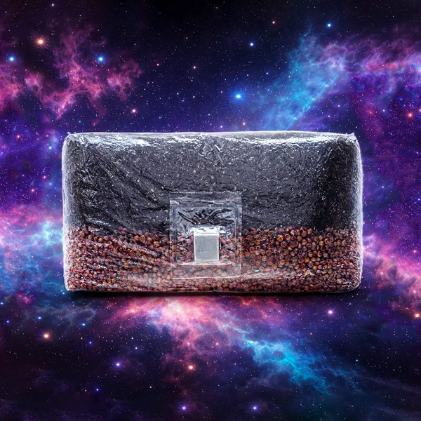 Small all in one bag floating in a space scene