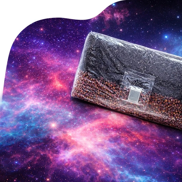 custom-slideshow-image-mobile-block_GX8YYY