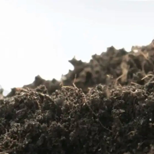 Close-up of Substrate material with a blurred background