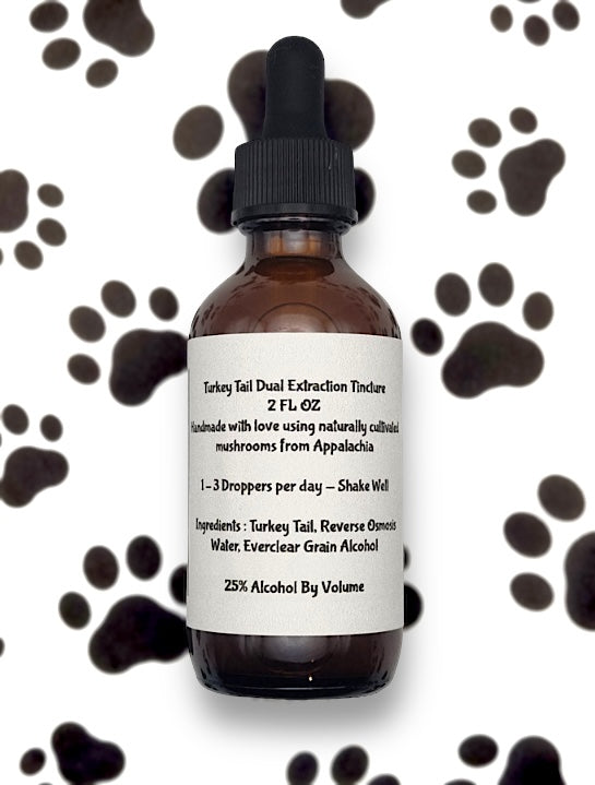 Turkey Tail Mushroom - Tincture 