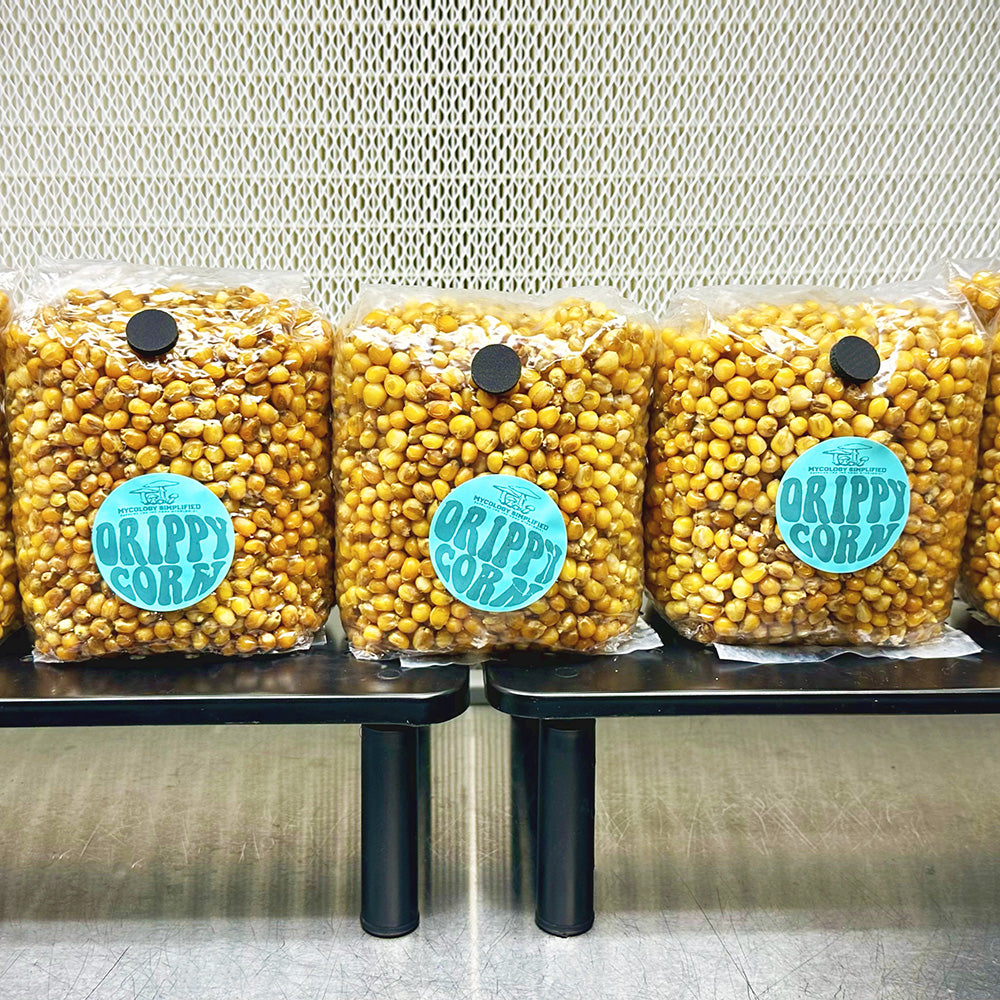 Corn Spawn Drippy Corn Grain Spawn | 2 lb Sterile w/ Injection Port ...