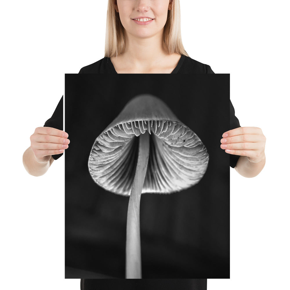 Mush Poster 