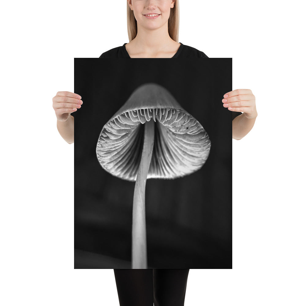 Mush Poster 